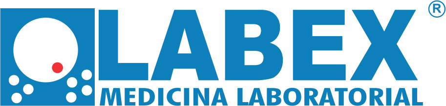 labex-logo